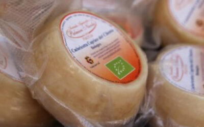 True Italian Taste #SlowFoodExperience: Cacioricotta del Cilento