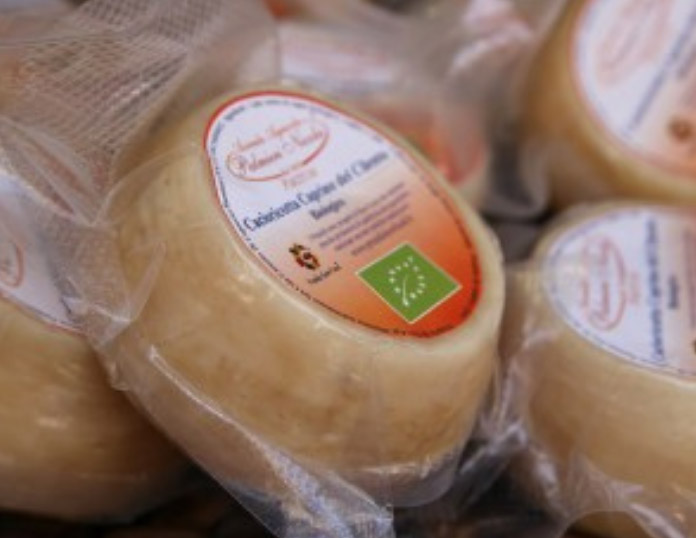 True Italian Taste #SlowFoodExperience: Cacioricotta del Cilento