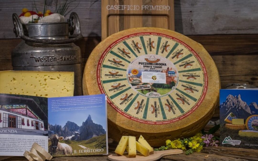 True Italian Taste #SlowFoodExperience: Puzzone di Moena di Malga