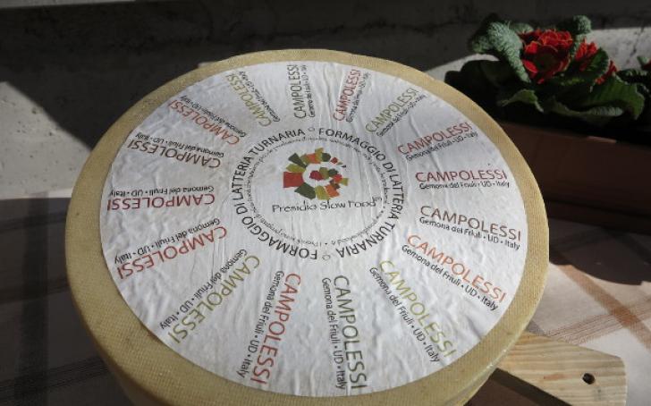 True Italian Taste #SlowFoodExperience: Formaggio Latteria Turnaria