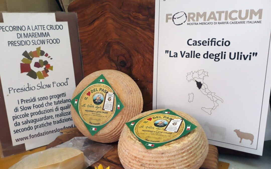 True Italian Taste #SlowFoodExperience: Pecorino a latte crudo della Maremma