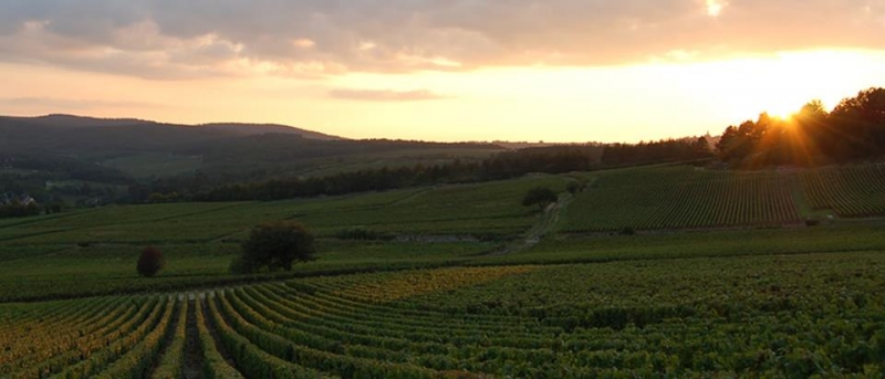 Montemaggiore Wine and Countryhouses