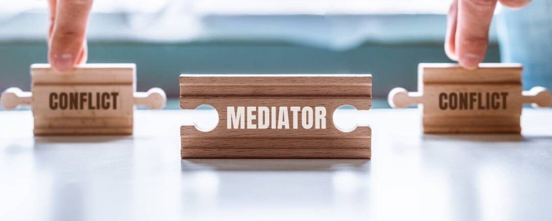 COMMERCIAL MEDIATION WITH THE PUBLIC SECTOR