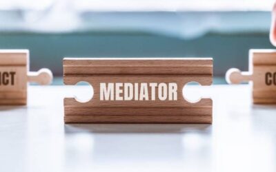 COMMERCIAL MEDIATION WITH THE PUBLIC SECTOR
