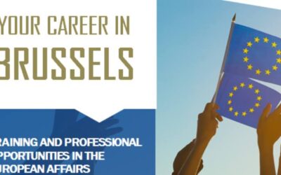 SEMINAR: YOUR CAREER IN BRUXELLES