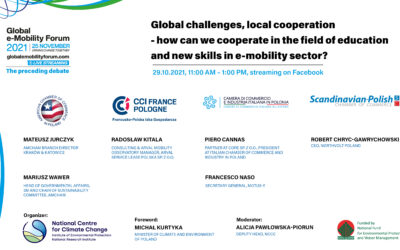 Webinar: Global challenges, local cooperation – how we can cooperate in the field of education and new skills in e-mobility sector?