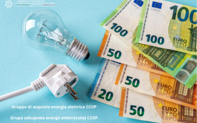 Grupa zakupowa energii elektrycznej Włoska Izba Handlowo-Przemysłowa w Polsce